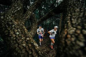 BIB: 
                            <button type="button" onclick="openModal(25679664)" class="btn btn-primary btn-sm float-right btn-popup" data-toggle="modal" data-target=".modal-high-quality">
                        <i class="fas fa-shopping-cart"></i> Add to Cart
                    </button>
                                            <button type="button" onclick="isThisMe(25679664, true)" class="btn btn-success btn-sm float-right btn-popup btn-isme hidden" data-toggle="tooltip" data-placement="bottom" title="นี่คือรูปของคุณใช่ไหม คลิกที่นี่เพื่อเอาเข้าอัลบั้ม">
                        <i class="fas fa-plus"></i> Add to album
                    </button>
                    <button type="button" onclick="isThisMe(25679664, false)" class="btn btn-warning btn-sm float-right btn-popup btn-isnotme hidden">
                        <i class="fas fa-ban"></i> Remove from album
                    </button>